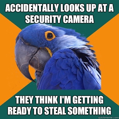 Accidentally looks up at a security camera They think I'm getting ready to steal something  Paranoid Parrot