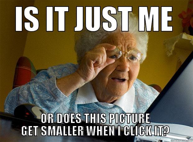 IS IT JUST ME OR DOES THIS PICTURE GET SMALLER WHEN I CLICK IT? Grandma finds the Internet