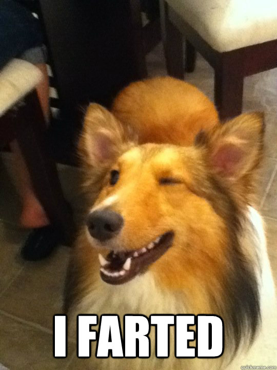  I farted  implying dog