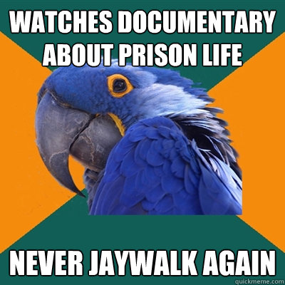 watches documentary about prison life never jaywalk again  Paranoid Parrot