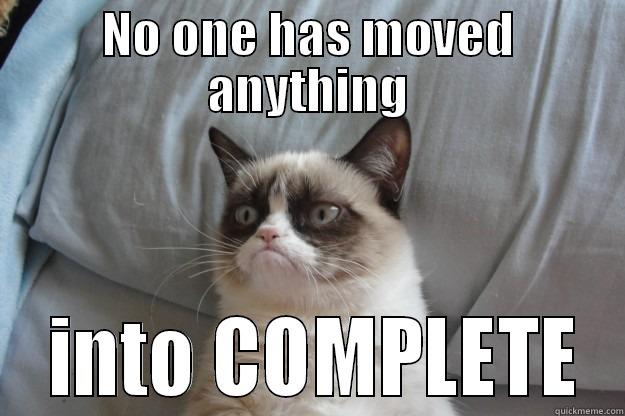 NO ONE HAS MOVED ANYTHING  INTO COMPLETE Grumpy Cat