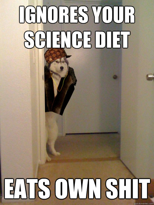 ignores your science diet eats own shit  