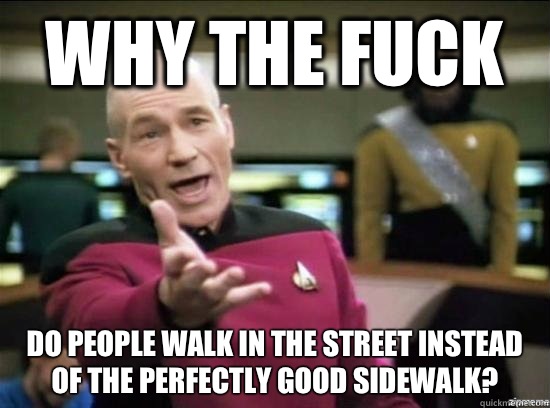 Why the fuck do people walk in the street instead of the perfectly good sidewalk?  Annoyed Picard HD