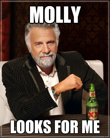 Molly  looks for me   The Most Interesting Man In The World