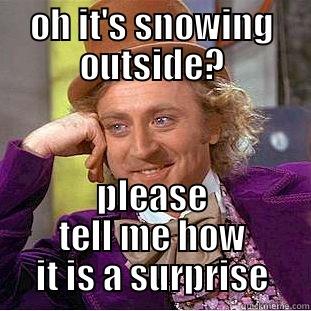 OH IT'S SNOWING OUTSIDE? PLEASE TELL ME HOW IT IS A SURPRISE Condescending Wonka