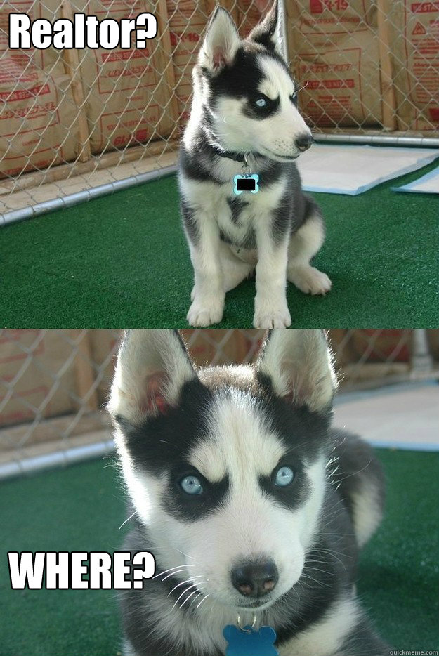 Realtor? WHERE?  Insanity puppy