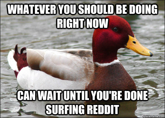 whatever you should be doing right now Can wait until you're done surfing reddit  Malicious Advice Mallard