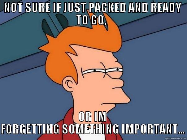 While packing, i'm the first one done... - NOT SURE IF JUST PACKED AND READY TO GO,  OR IM FORGETTING SOMETHING IMPORTANT... Futurama Fry