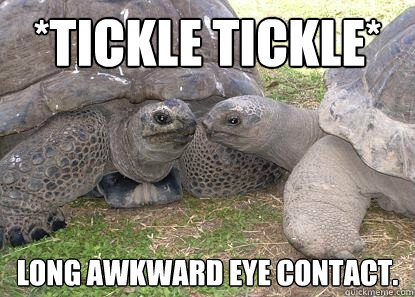 *Tickle Tickle* Long awkward eye contact.  Sexual tention tortoise