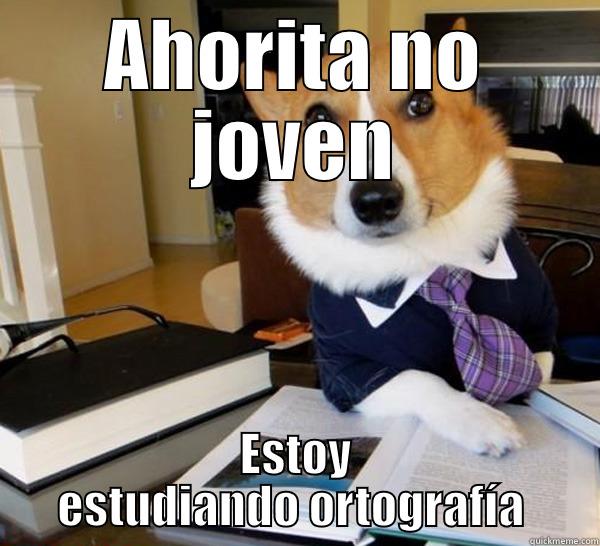 AHORITA NO JOVEN ESTOY ESTUDIANDO ORTOGRAFÍA  Lawyer Dog