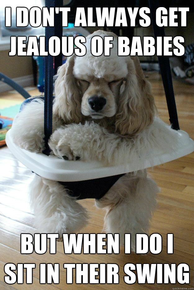 I don't always get jealous of babies but when i do i sit in their swing  