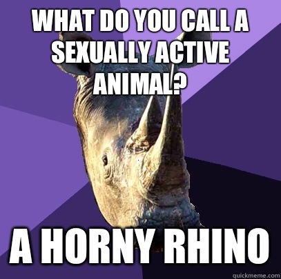 What do you call a sexually active animal? A Horny Rhino  Sexually Oblivious Rhino
