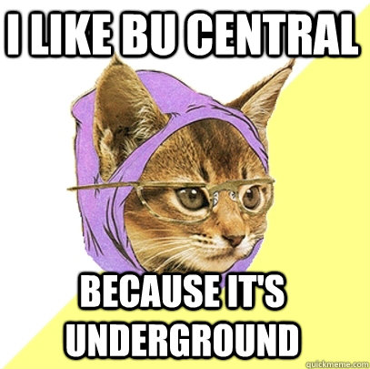 I LIKE BU CENTRAL BECAUSE IT'S UNDERGROUND  Hipster Kitty