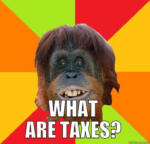 culturally oblivious orangutan -  WHAT ARE TAXES? Culturally Oblivious Orangutan