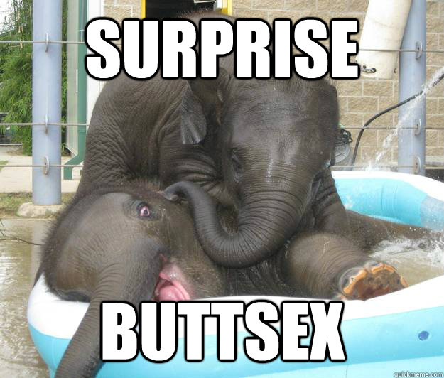 surprise buttsex - surprise buttsex  Frisky Elephant