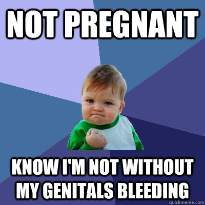 Not pregnant know i'm not without my genitals bleeding  Success Kid