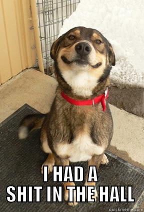  I HAD A SHIT IN THE HALL Good Dog Greg
