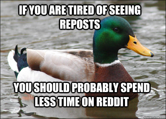 if you are tired of seeing reposts you should probably spend less time on reddit  Actual Advice Mallard