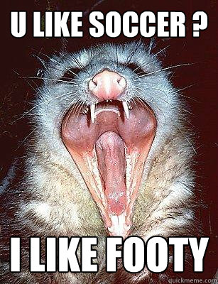 U LIKE SOCCER ? I LIKE FOOTY  The Angry Possum
