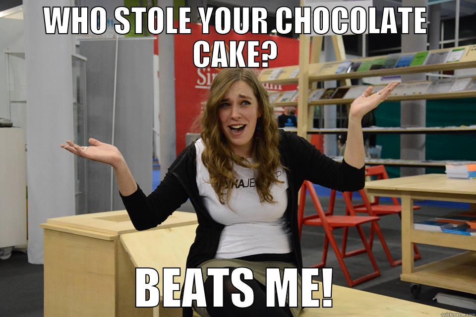 WHO STOLE YOUR CHOCOLATE CAKE? BEATS ME! Misc