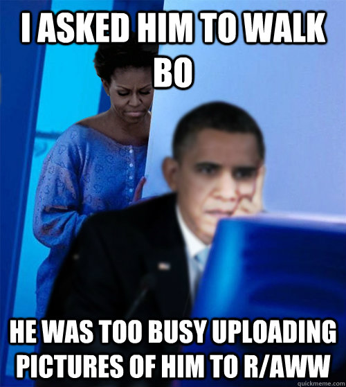I asked him to walk Bo He was too busy uploading pictures of him to r/aww  Redditor Obamas Wife