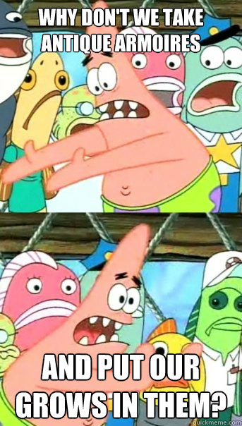 Why don't we take antique armoires and put our grows in them?  Push it somewhere else Patrick