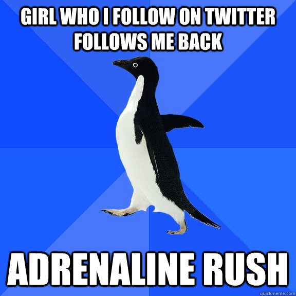 girl who i follow on twitter follows me back adrenaline rush  Socially Awkward Penguin