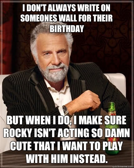 I don't always write on someones wall for their birthday But when I do, I make sure rocky isn't acting so damn cute that I want to play with him instead.   The Most Interesting Man In The World