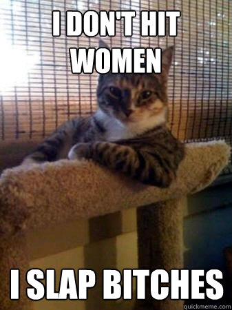 I don't Hit Women I slap Bitches  The Most Interesting Cat in the World