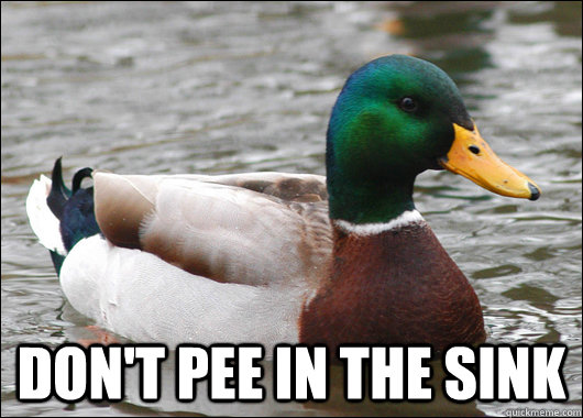  don't pee in the sink  Actual Advice Mallard