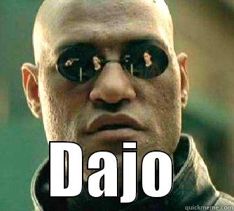  DAJO Matrix Morpheus