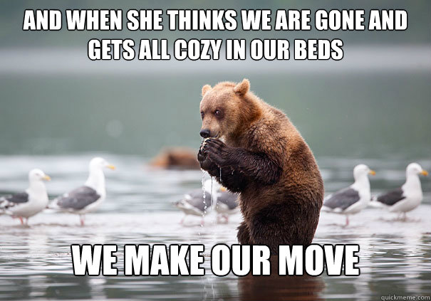 And when she thinks we are gone and gets all cozy in our beds We make our move  