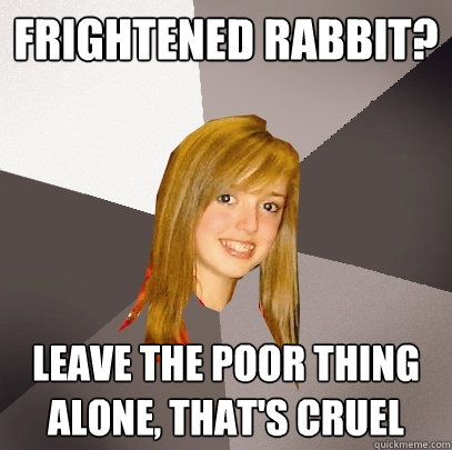 Frightened Rabbit? Leave the poor thing alone, that's cruel  Musically Oblivious 8th Grader