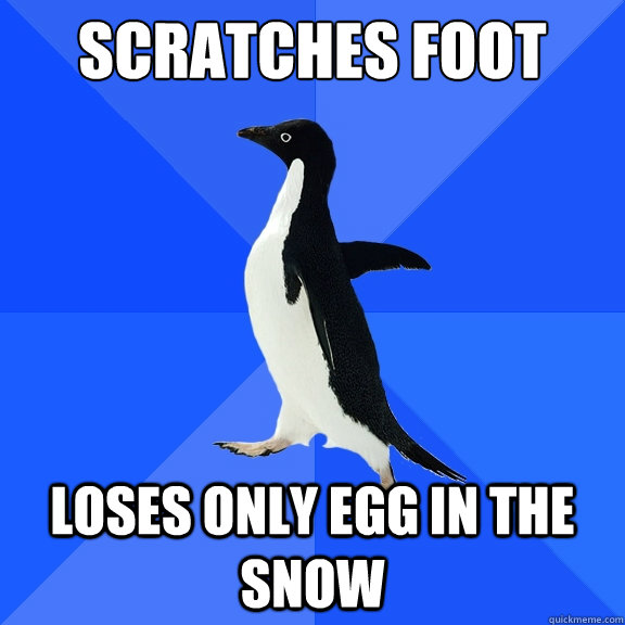 scratches foot loses only egg in the snow  Socially Awkward Penguin