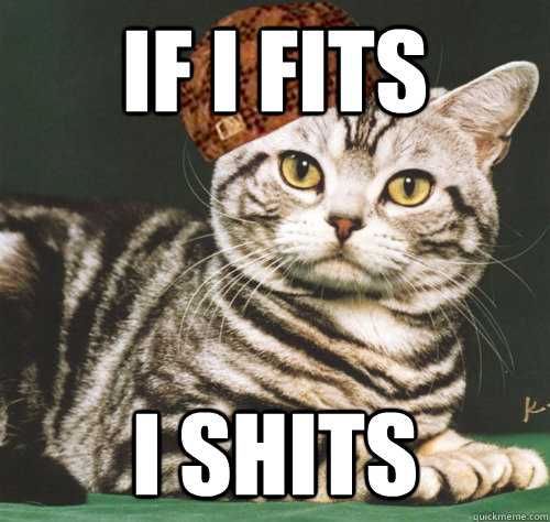 If I Fits I shits  Scumbag Cat