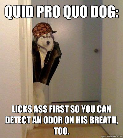 QUID PRO QUO DOG: LICKS ASS FIRST SO YOU CAN DETECT AN ODOR ON HIS BREATH, TOO.  Scumbag dog