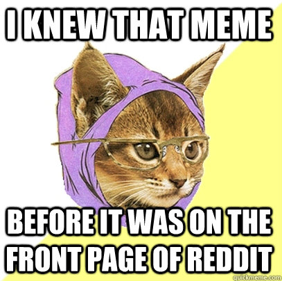 I knew that meme before it was on the front page of reddit  Hipster Kitty