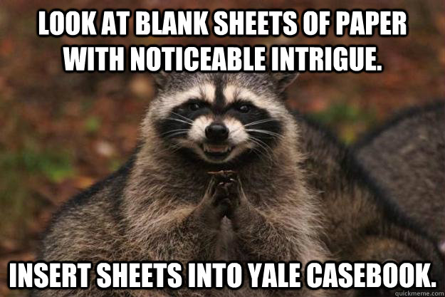 Look at blank sheets of paper with noticeable intrigue. Insert sheets into yale casebook.  Evil Plotting Raccoon