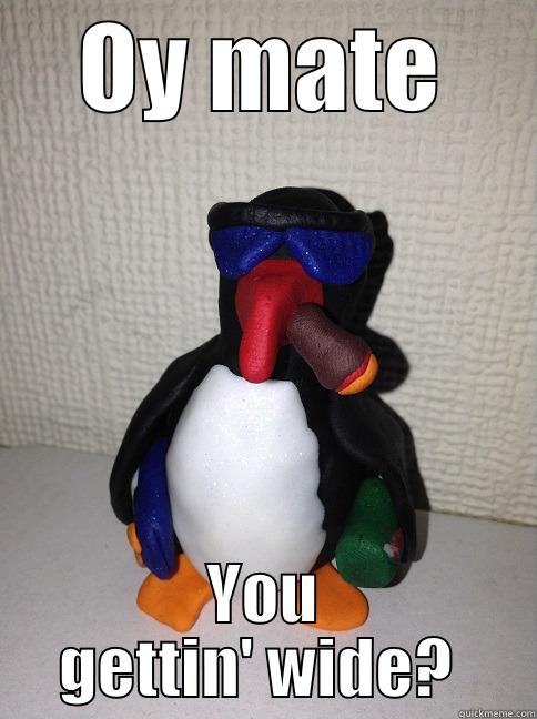OY MATE YOU GETTIN' WIDE?  Misc