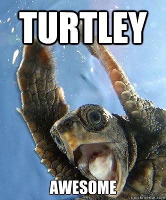 TURTLEY AWESOME  