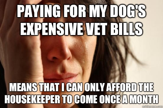 Paying for my dog's expensive vet bills Means that I can only afford the housekeeper to come once a month - Paying for my dog's expensive vet bills Means that I can only afford the housekeeper to come once a month  Misc