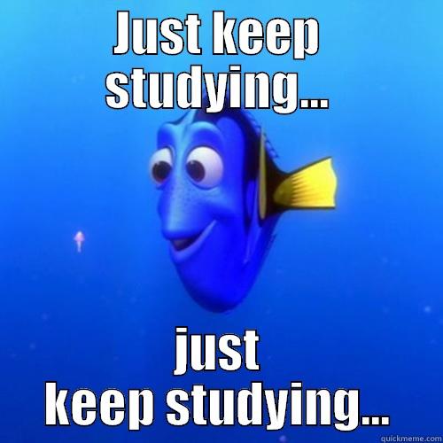 JUST KEEP STUDYING... JUST KEEP STUDYING... dory