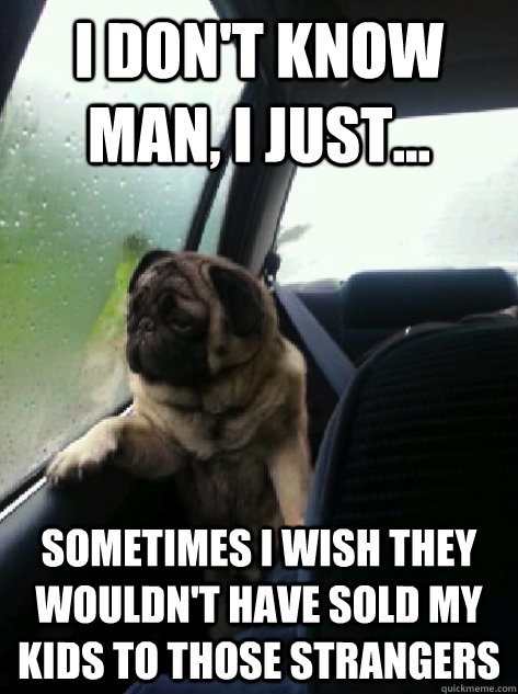 I don't know man, I just... sometimes i wish they wouldn't have sold my kids to those strangers - I don't know man, I just... sometimes i wish they wouldn't have sold my kids to those strangers  Introspective dog