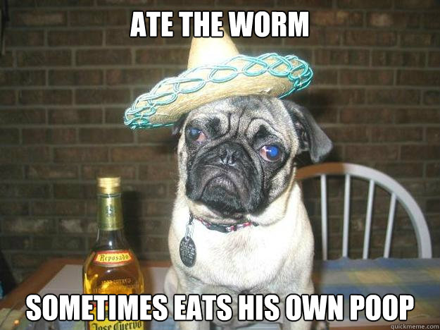 ate the worm sometimes eats his own poop  - ate the worm sometimes eats his own poop   Vacation dog
