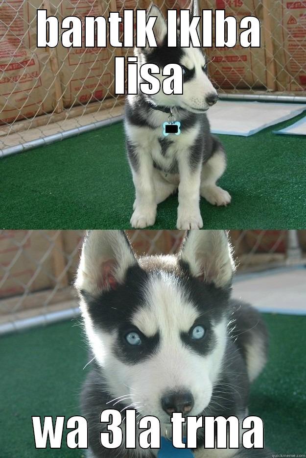 BANTLK LKLBA LISA WA 3LA TRMA Insanity puppy