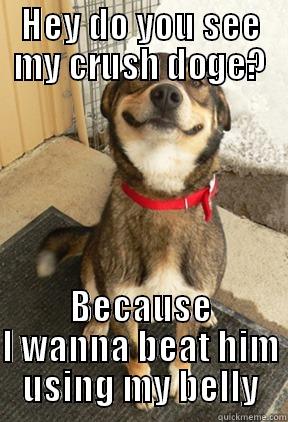 HEY DO YOU SEE MY CRUSH DOGE? BECAUSE I WANNA BEAT HIM USING MY BELLY Good Dog Greg