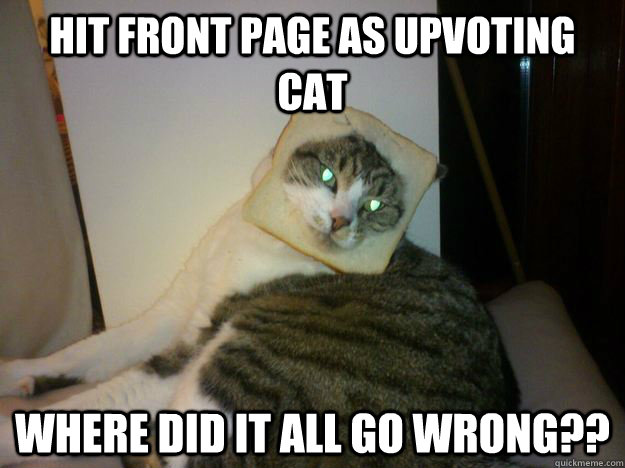 HIT FRONT PAGE AS UPVOTING CAT WHERE DID IT ALL GO WRONG?? - HIT FRONT PAGE AS UPVOTING CAT WHERE DID IT ALL GO WRONG??  Misc
