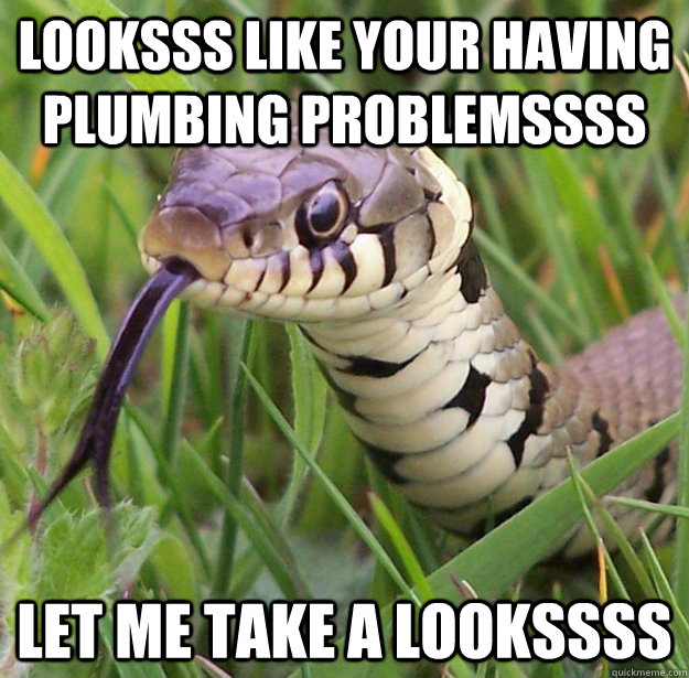 Looksss like your having plumbing problemssss Let me take a lookssss  Plumbing Snake