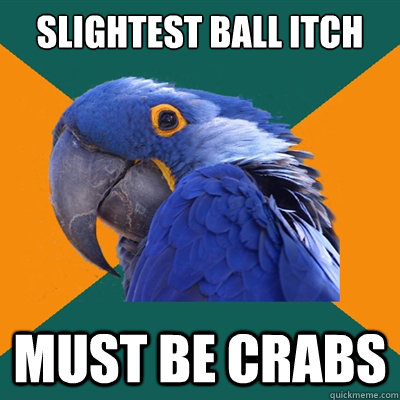 Slightest ball itch must be crabs - Slightest ball itch must be crabs  Paranoid Parrot