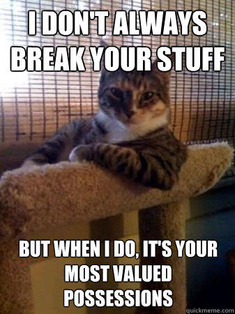 I don't always break your stuff but when I do, it's your most valued possessions  The Most Interesting Cat in the World